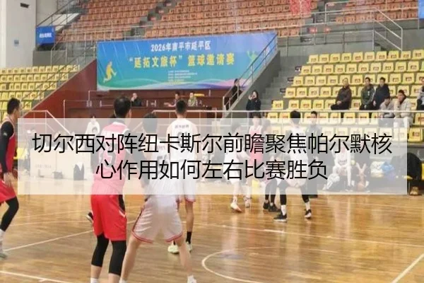 切尔西对阵纽卡斯尔前瞻聚焦帕尔默核心作用如何左右比赛胜负