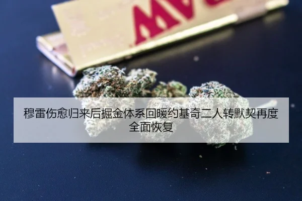 穆雷伤愈归来后掘金体系回暖约基奇二人转默契再度全面恢复