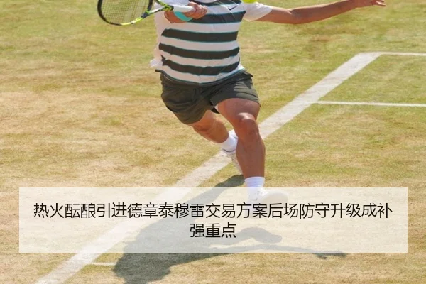 热火酝酿引进德章泰穆雷交易方案后场防守升级成补强重点